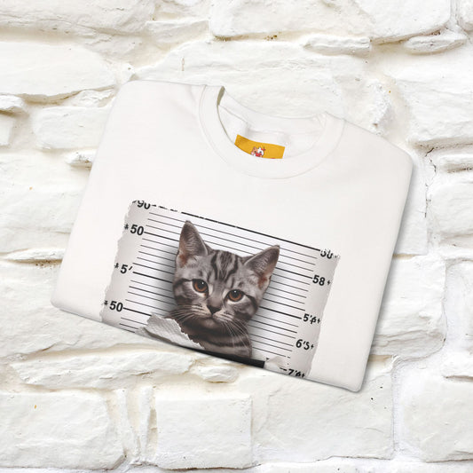 "I Tore The Toilet Paper.'' |Cat Sweatshirt | Nunu&Miao Studio