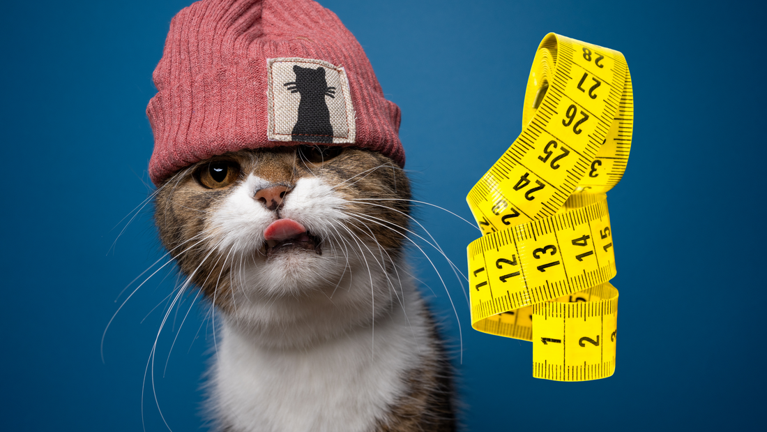 Find Your Fit With Confidence