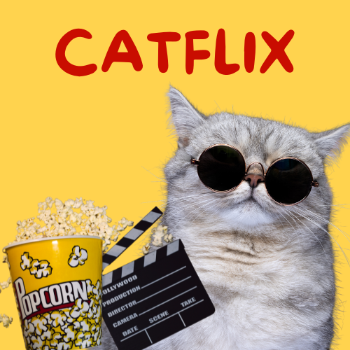 Movies & Celebrities