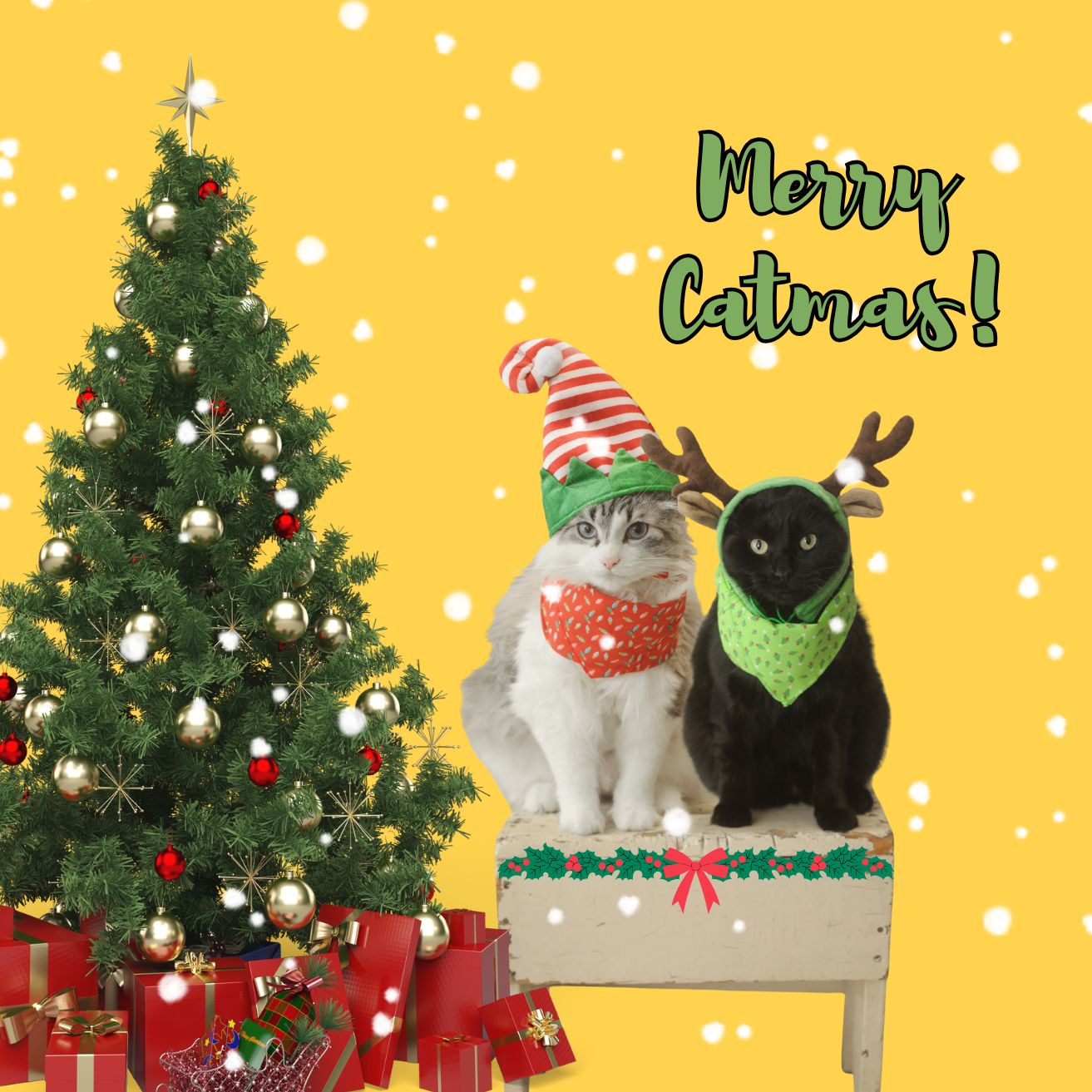 Meowy Christmas Collection