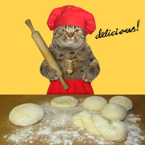 Chef Meow