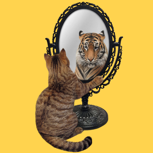 Inspirational Positive Vibes