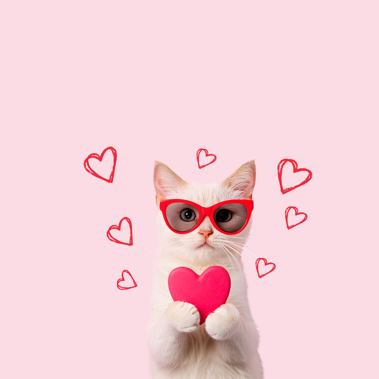 Anti-Valentine: Cat Edition
