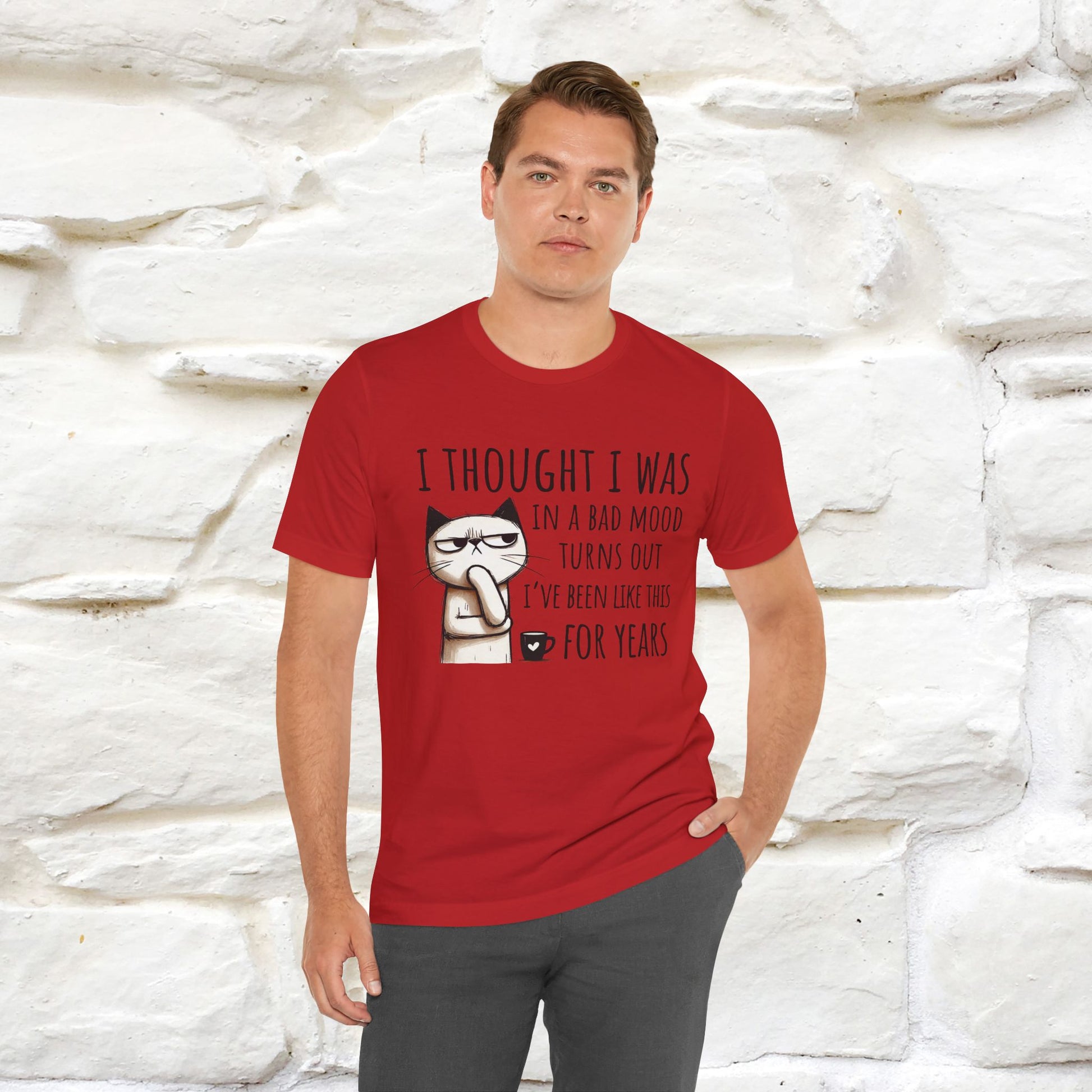 "I Thought I was In A Bad Mood.. " Cat  T-shirt |Nunu&Miao Studio - Nunu&Miao Studio