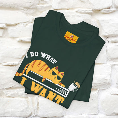"I Do What I Want" Cat T-Shirt | Nunu & Miao Studio - Nunu&Miao Studio