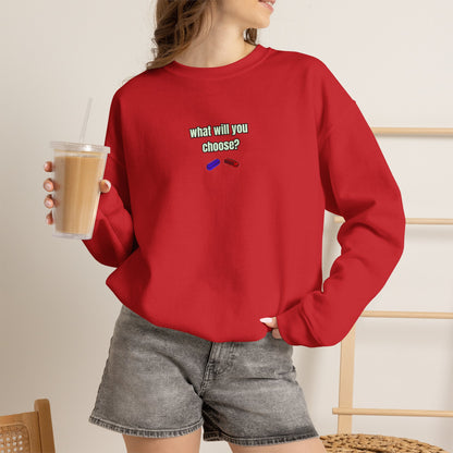 "The Catrix'' |Cat Sweatshirt | Nunu&Miao Studio