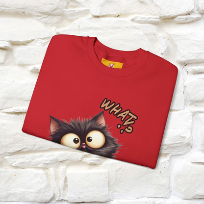 "What'' |Cat Sweatshirt | Nunu&Miao Studio