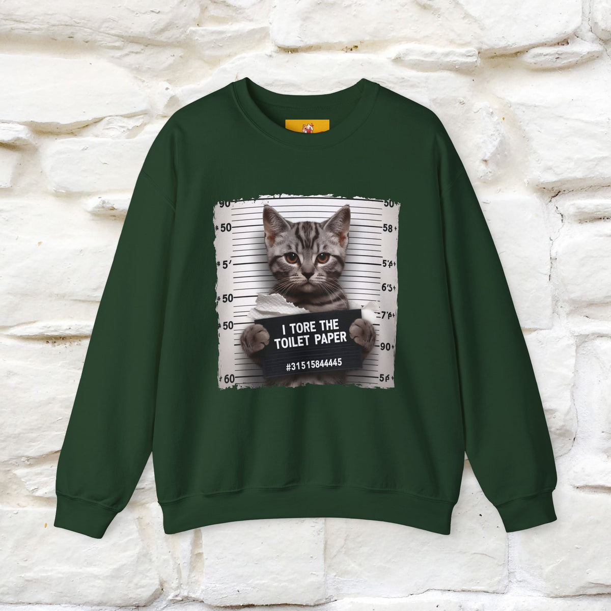 "I Tore The Toilet Paper.'' |Cat Sweatshirt | Nunu&Miao Studio