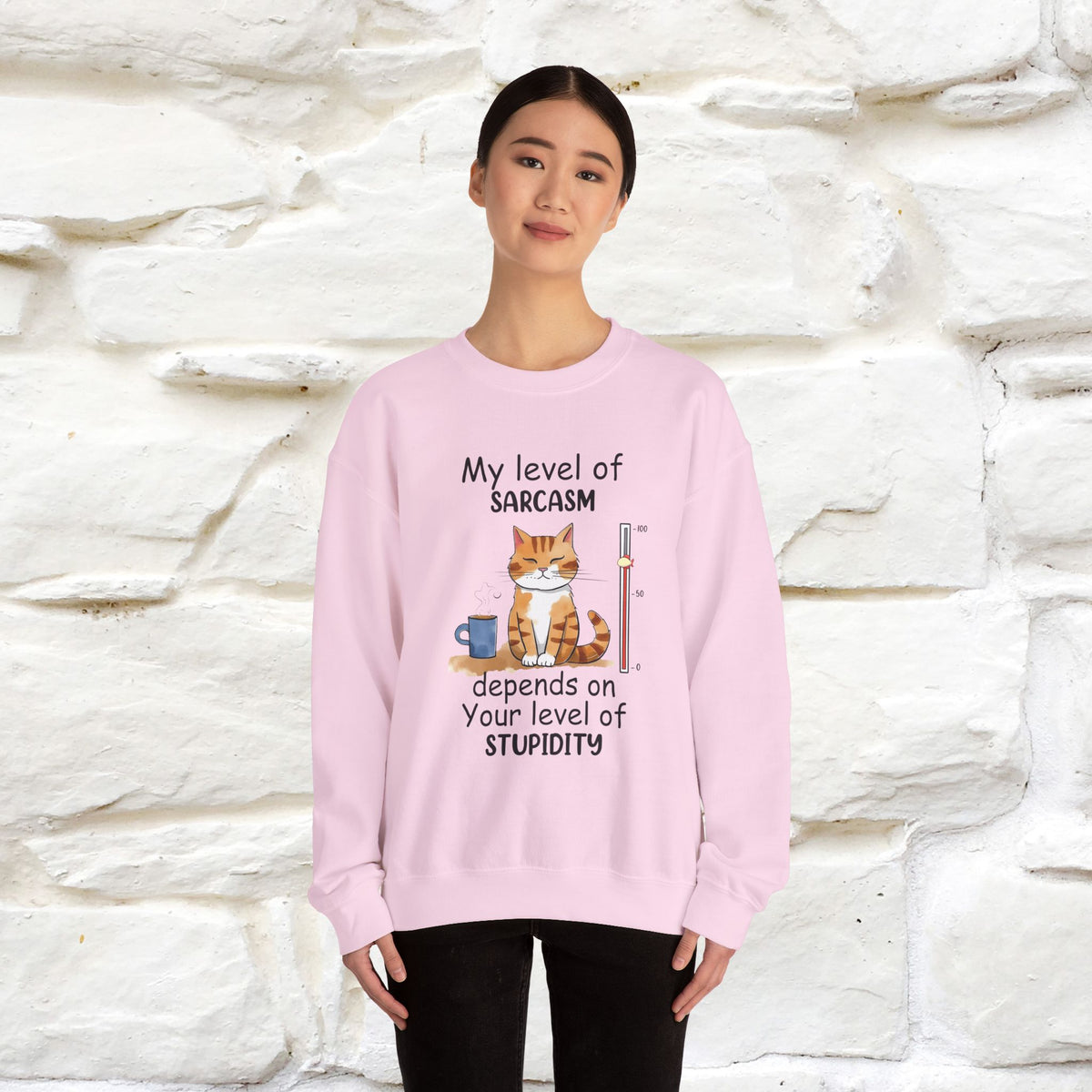 "My Level Of Sarcasm...'' |Cat Sweatshirt | Nunu&Miao Studio