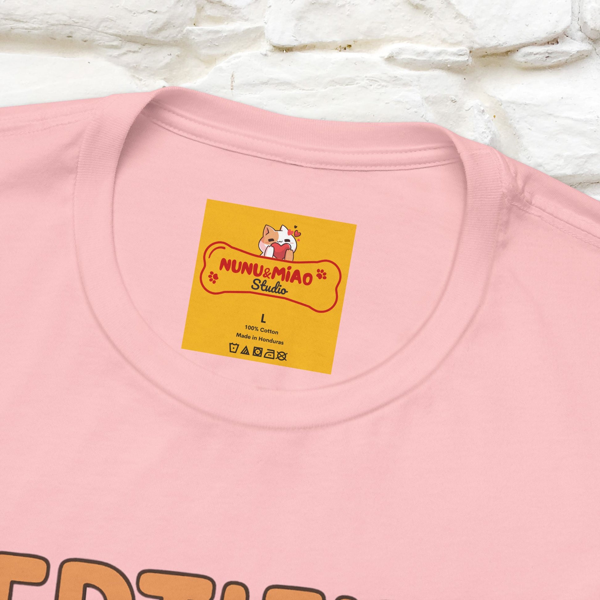 Certified Homebody Tee – Hilarious Lazy Lifestyle Shirt | Nunu & Miao Studio - Nunu&Miao Studio