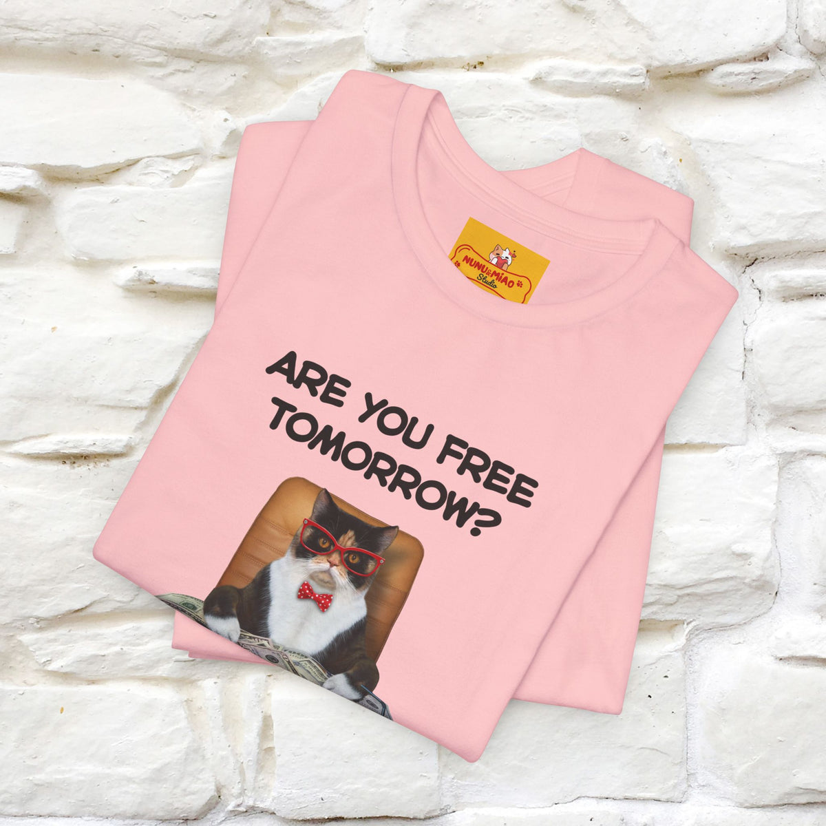 “Are You Fee Tomorrow?” | Cat T-Shirt | Nunu&Miao Studio