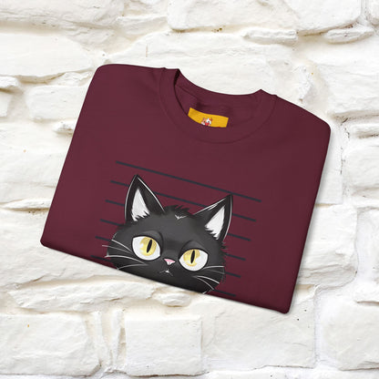 ''Bad Cattitude'' |Cat Sweatshirt | Nunu&Miao Studio