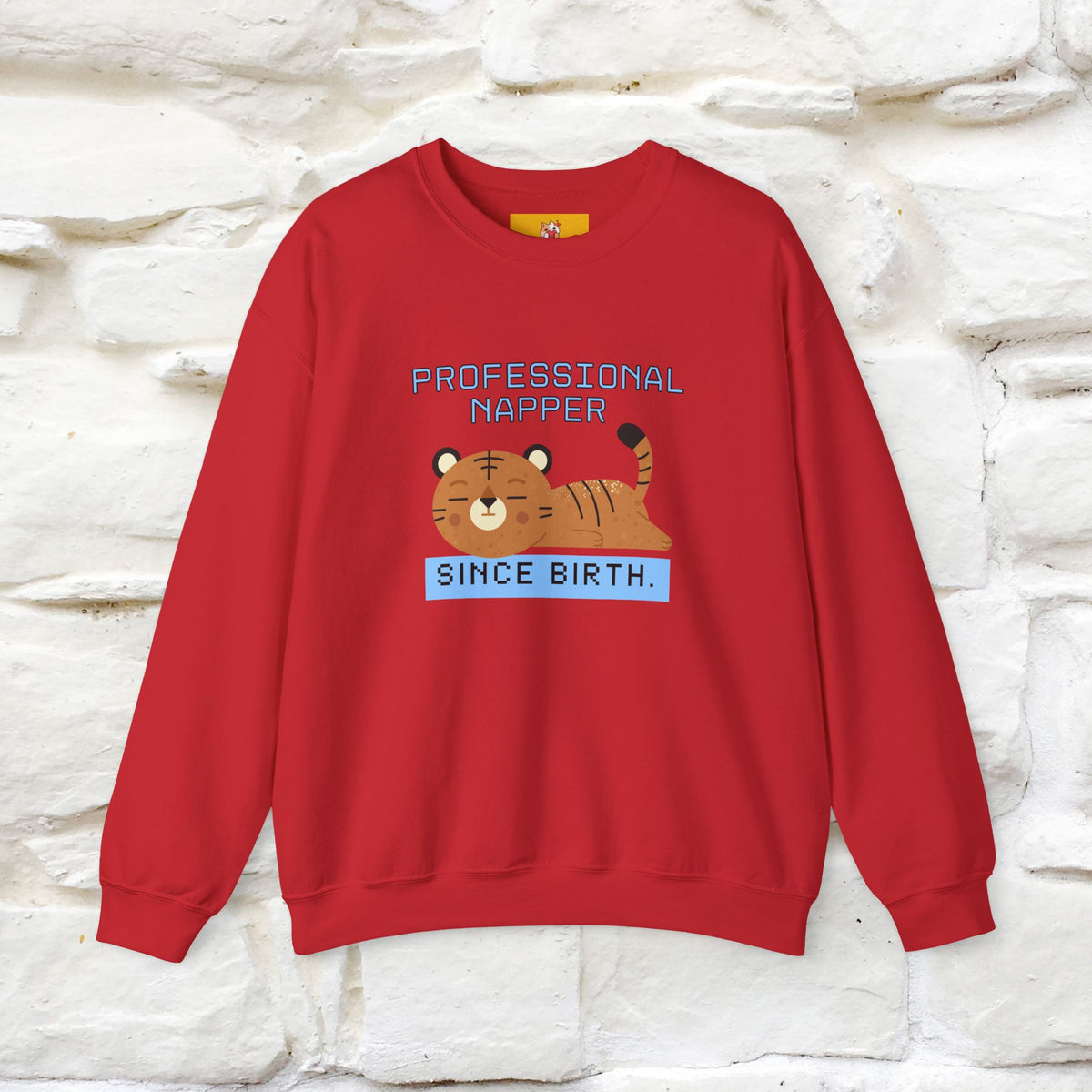 ''Professional Napper Since Birth'' |Cat Sweatshirt | Nunu&Miao Studio