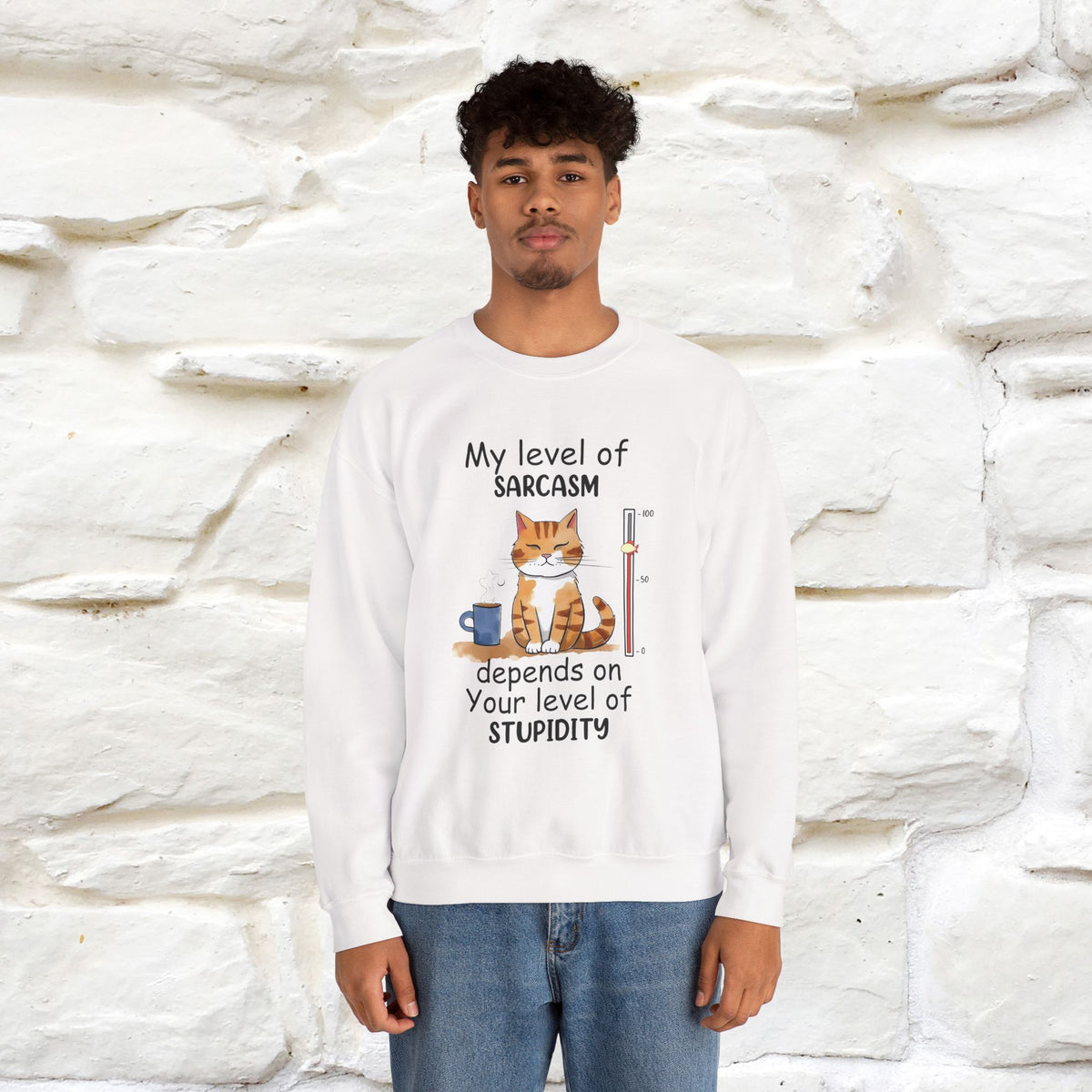 "My Level Of Sarcasm...'' |Cat Sweatshirt | Nunu&Miao Studio