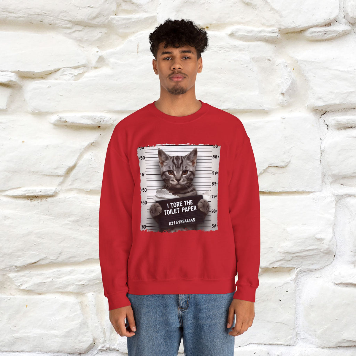 "I Tore The Toilet Paper.'' |Cat Sweatshirt | Nunu&Miao Studio