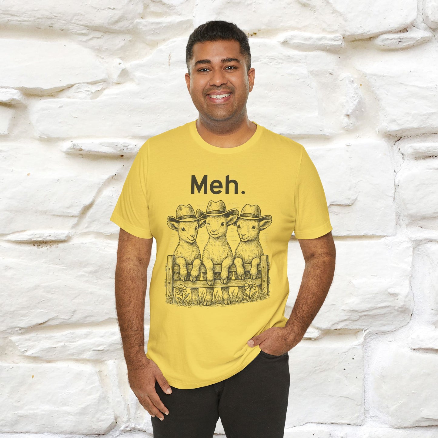 "Meh" Cute T-shirt |Nunu&Miao Studio - Nunu&Miao Studio