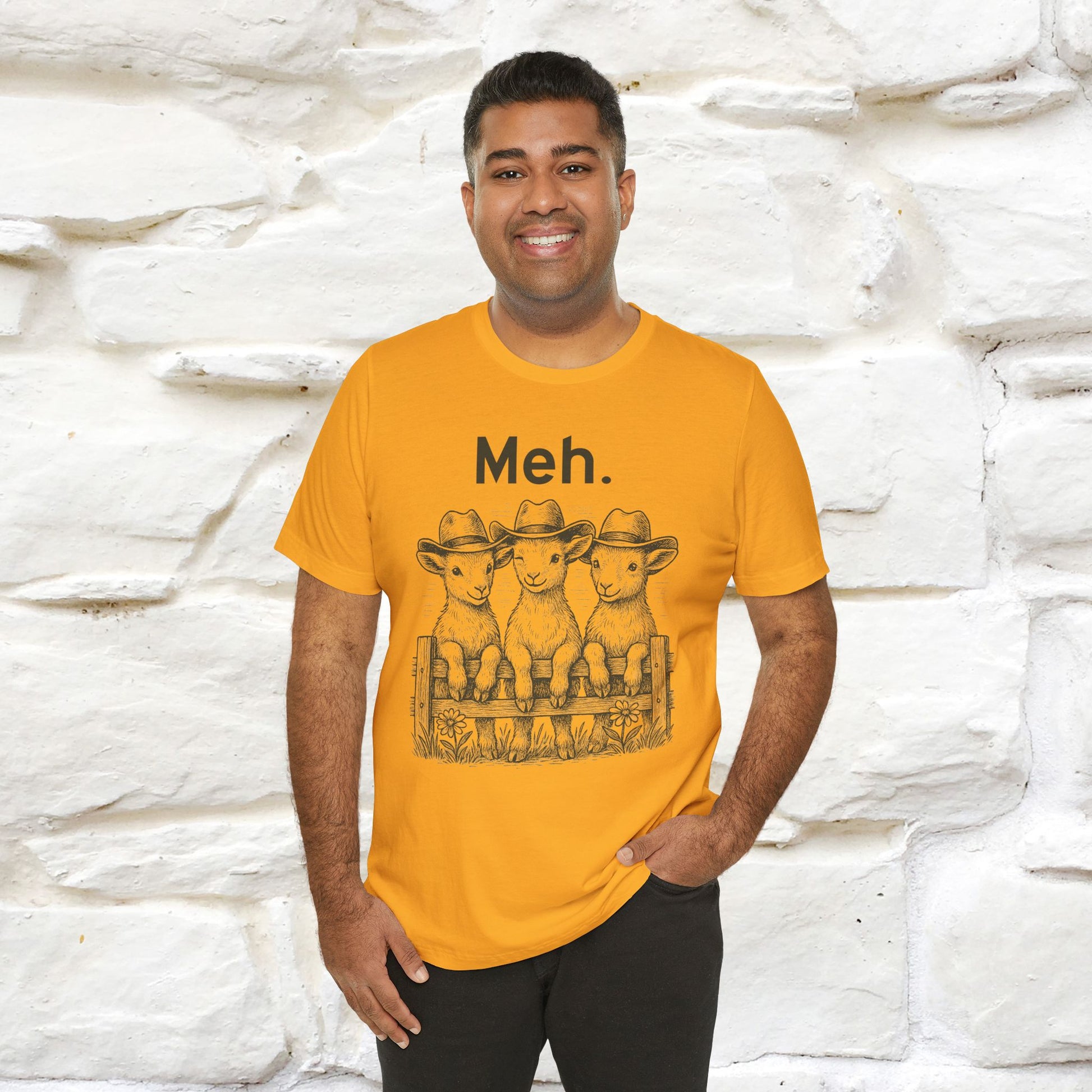 "Meh" Cute T-shirt |Nunu&Miao Studio - Nunu&Miao Studio