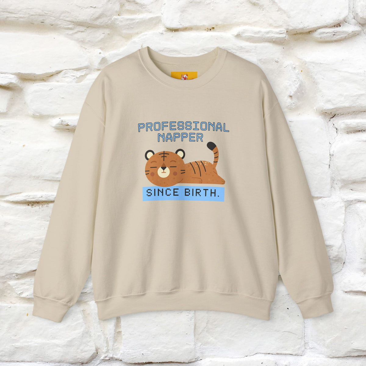 ''Professional Napper Since Birth'' |Cat Sweatshirt | Nunu&Miao Studio
