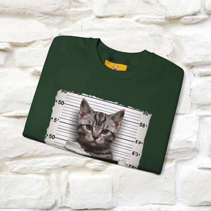"I Tore The Toilet Paper.'' |Cat Sweatshirt | Nunu&Miao Studio