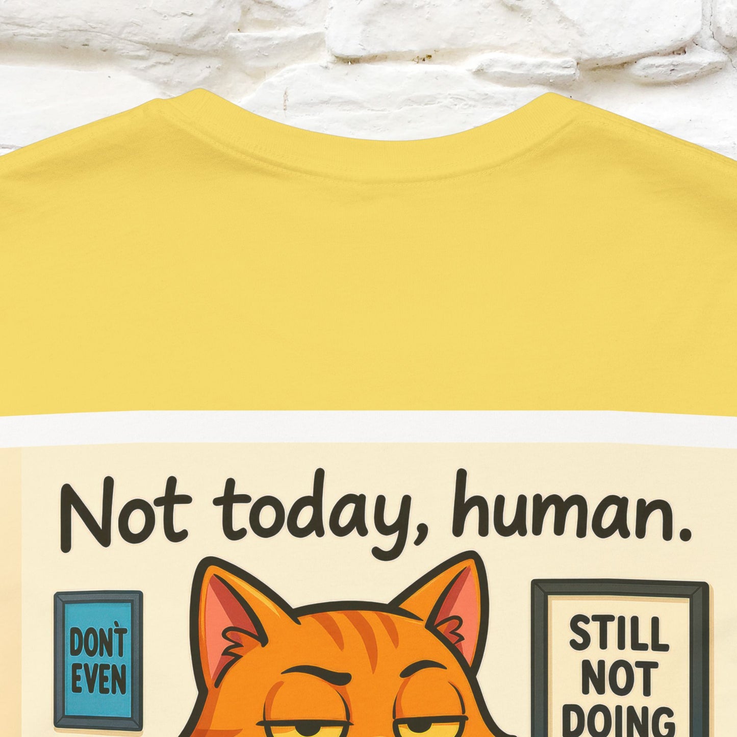 ''Not Today, Human''|  Sarcastic Cat T-Shirt | Front & Back Design | Nunu&Miao Studio