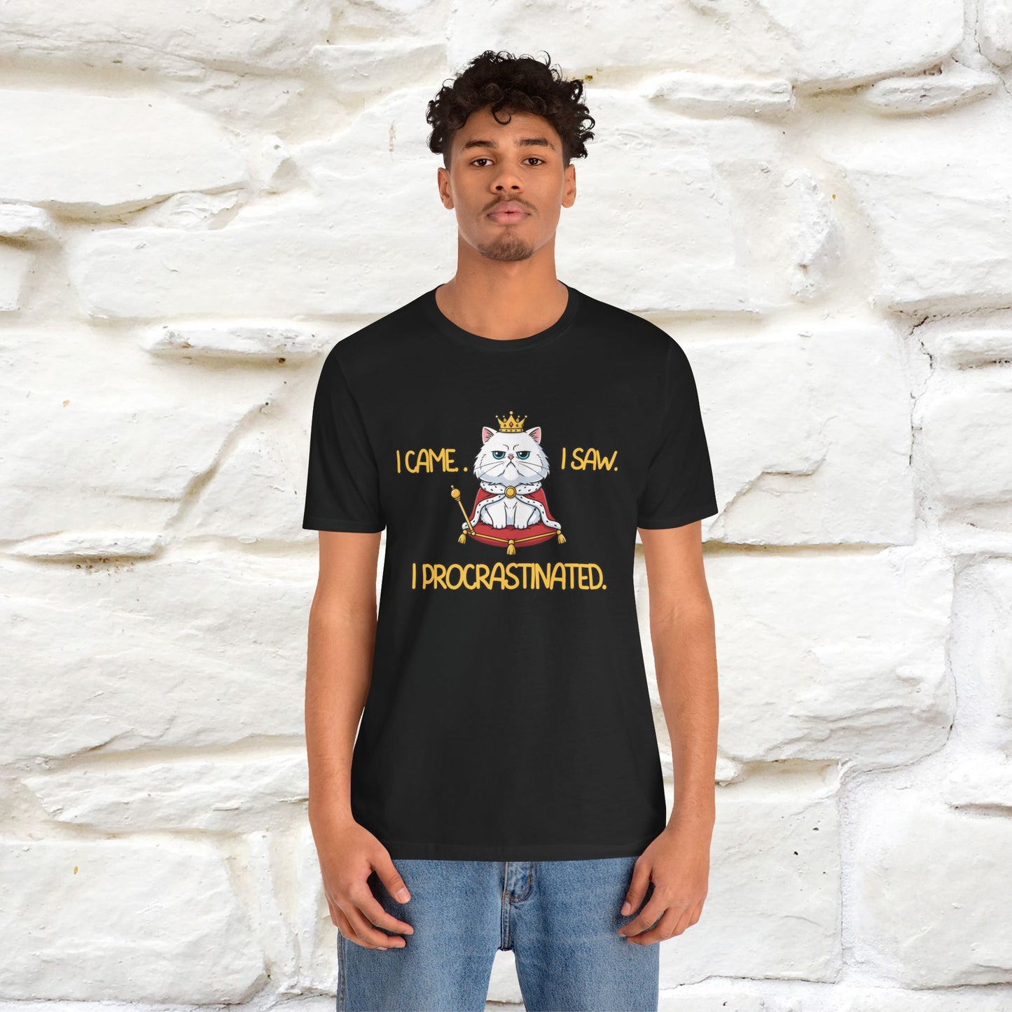 ''I came. I saw. I procrastinated.''| Funny T-Shirt | Nunu&Miao Studio