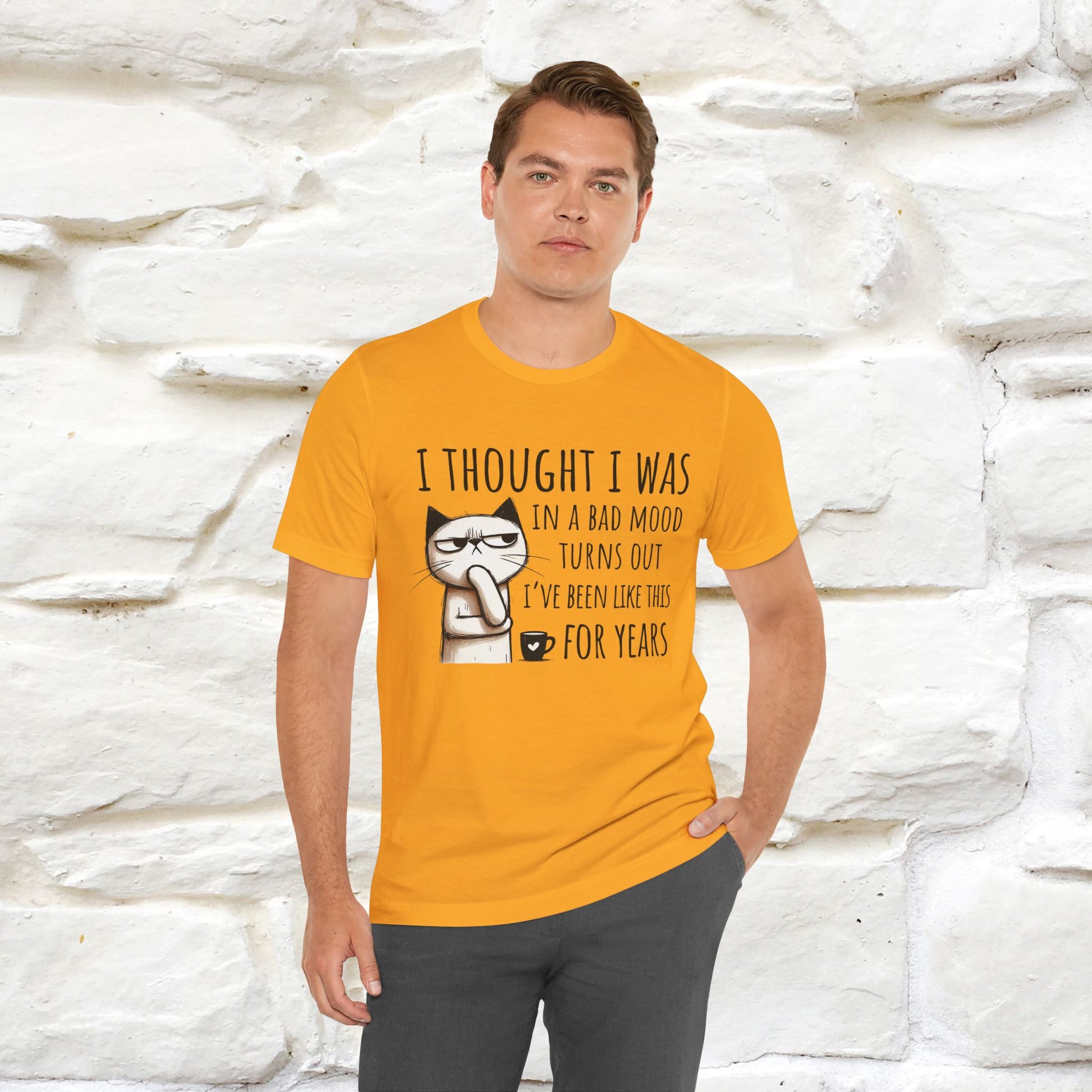 "I Thought I was In A Bad Mood.. " Cat  T-shirt |Nunu&Miao Studio - Nunu&Miao Studio