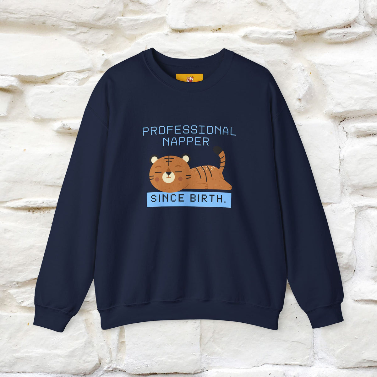 ''Professional Napper Since Birth'' |Cat Sweatshirt | Nunu&Miao Studio