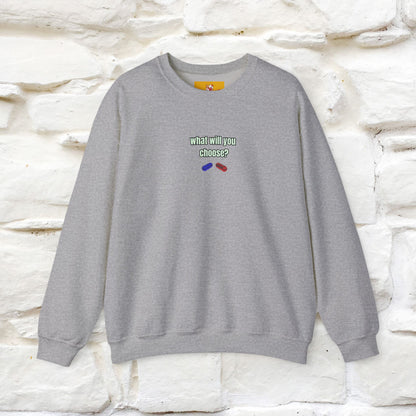 "The Catrix'' |Cat Sweatshirt | Nunu&Miao Studio
