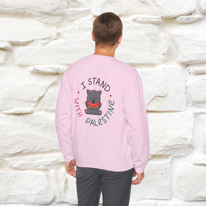 "I Stand With Palestine'' |Cat Sweatshirt | Nunu&Miao Studio