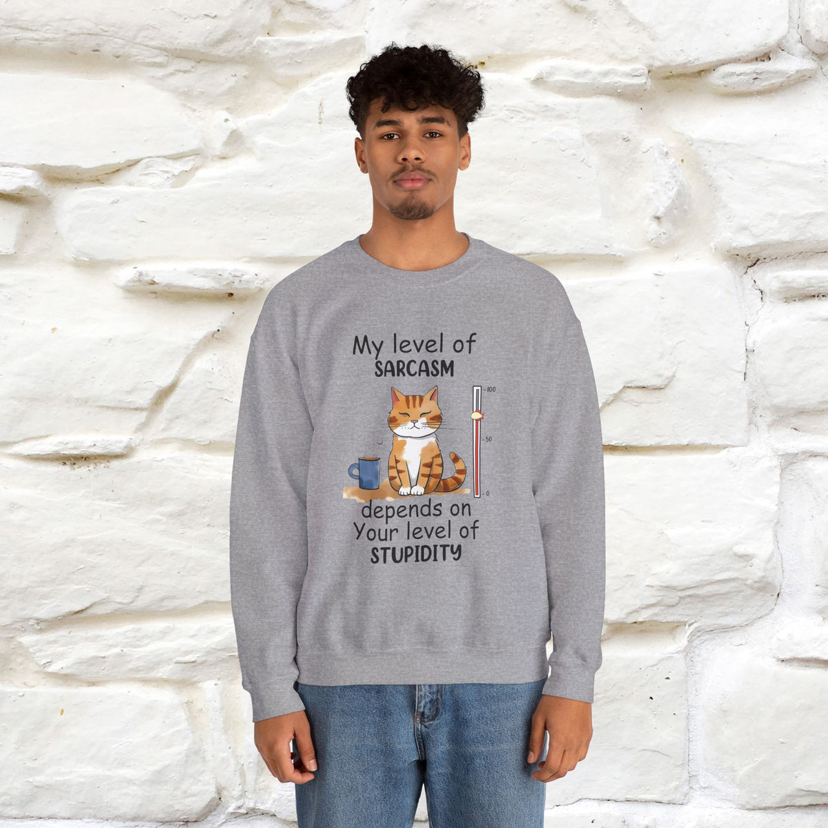 "My Level Of Sarcasm...'' |Cat Sweatshirt | Nunu&Miao Studio
