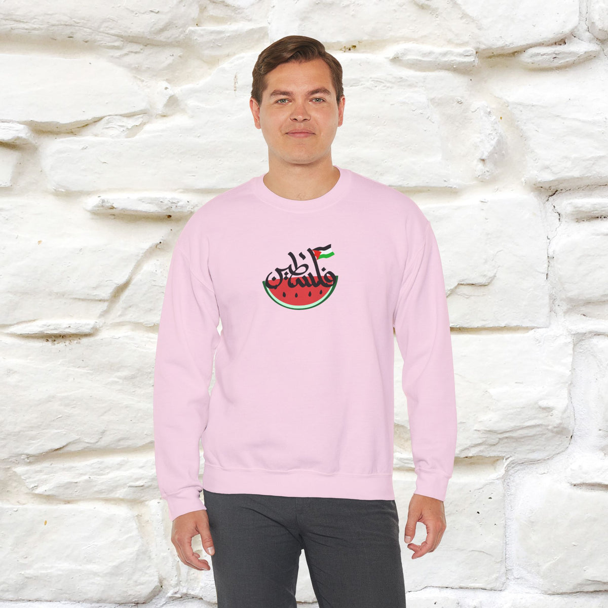 "I Stand With Palestine'' |Cat Sweatshirt | Nunu&Miao Studio
