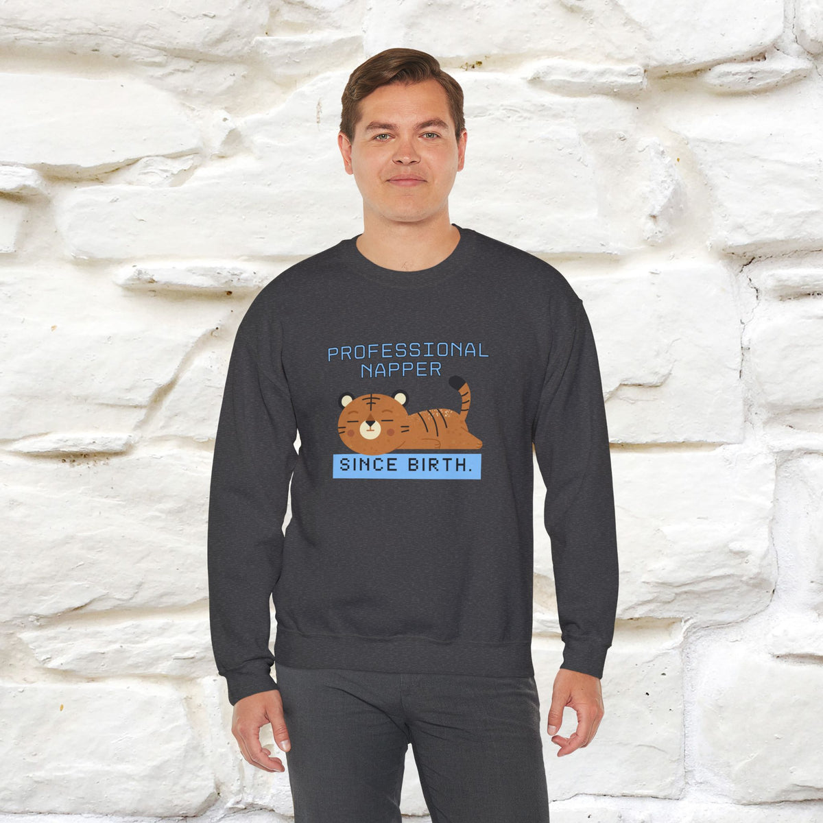 ''Professional Napper Since Birth'' |Cat Sweatshirt | Nunu&Miao Studio