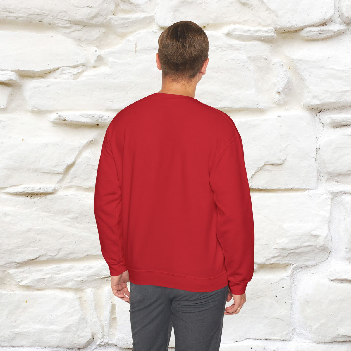"Meow-sholmes'' |Cat Sweatshirt | Nunu&Miao Studio