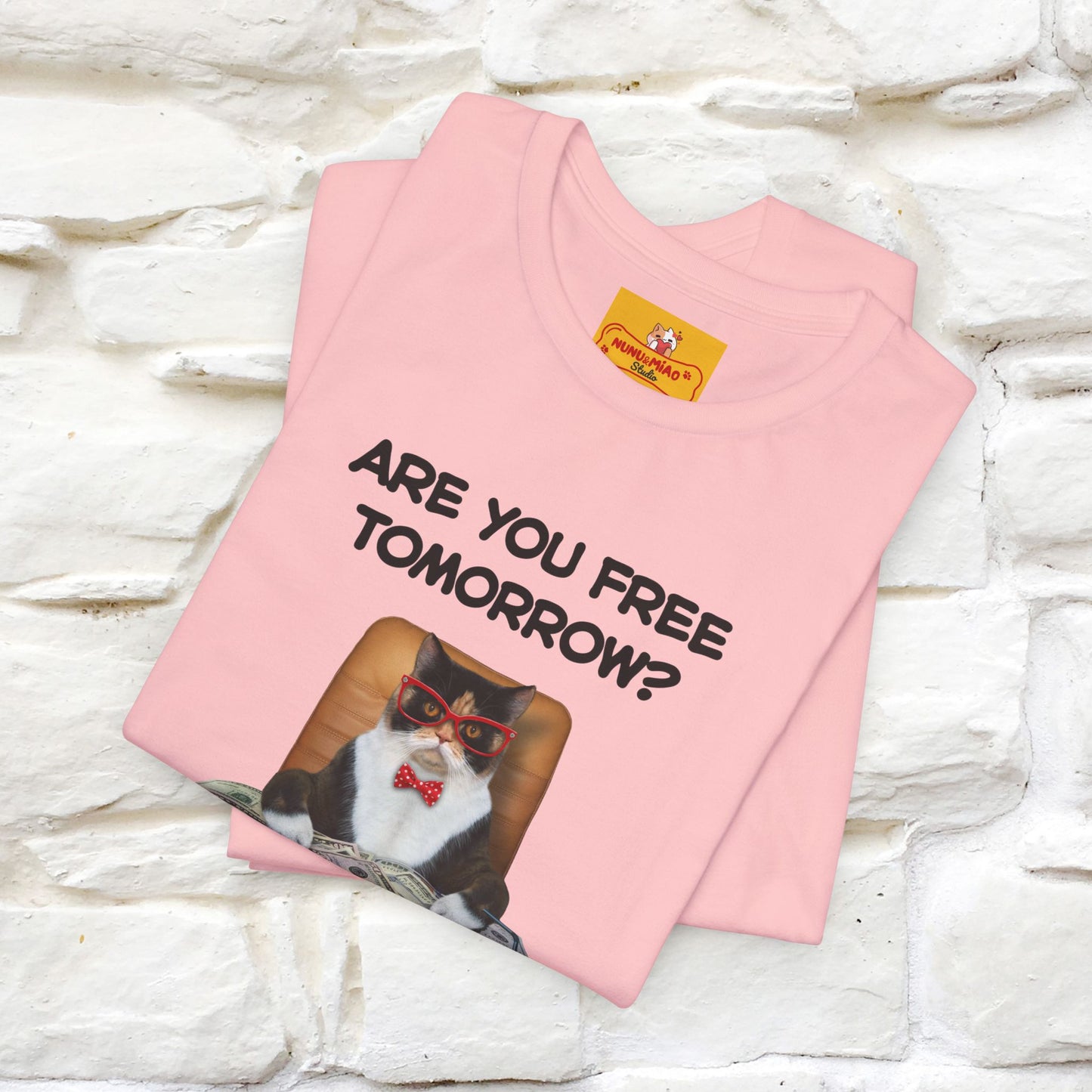 “Are You Fee Tomorrow?” | Cat T-Shirt | Nunu&Miao Studio