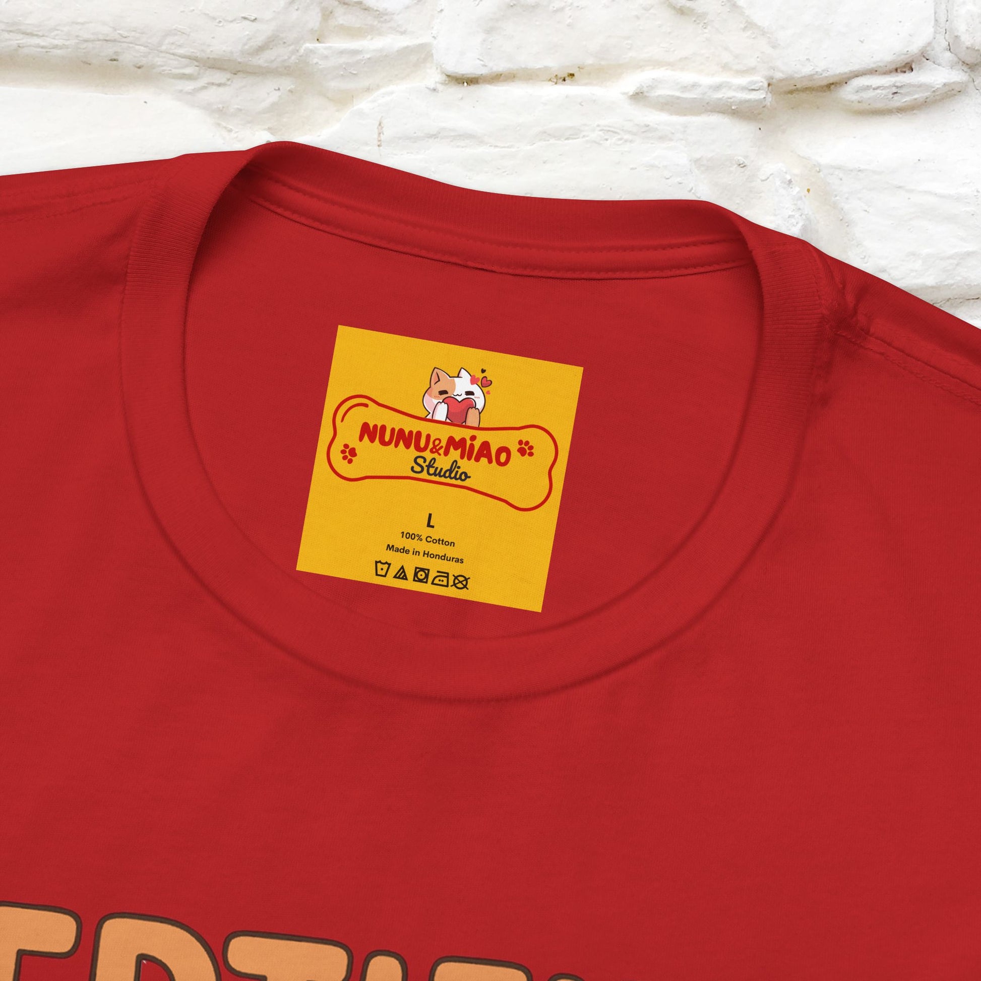 Certified Homebody Tee – Hilarious Lazy Lifestyle Shirt | Nunu & Miao Studio - Nunu&Miao Studio