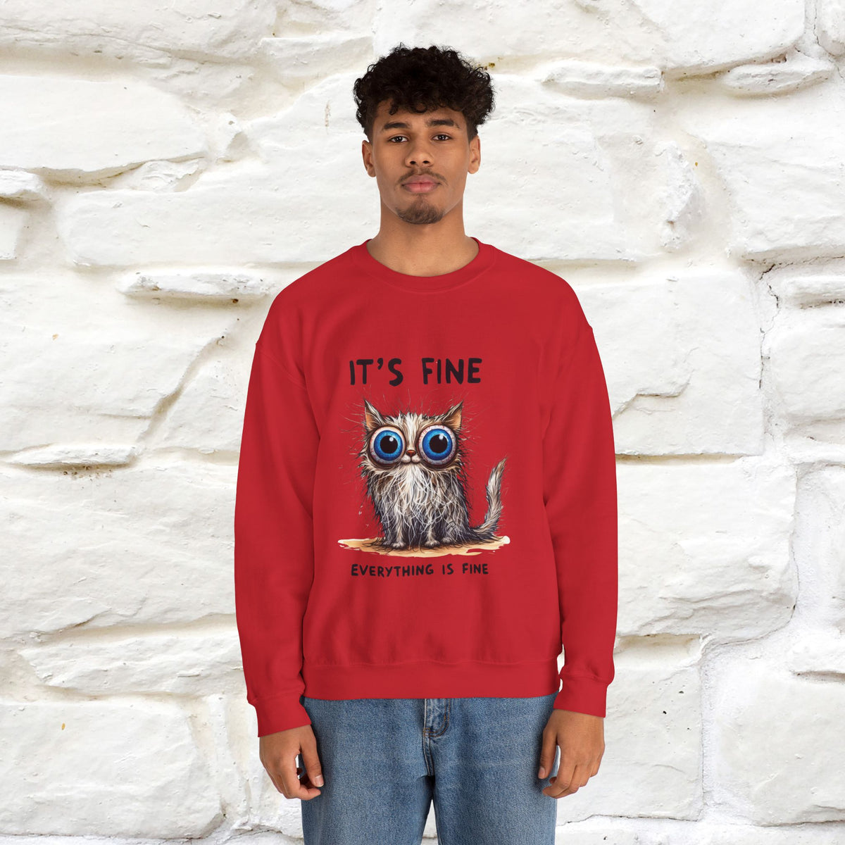 "It's Fine'' |Cat Sweatshirt | Nunu&Miao Studio