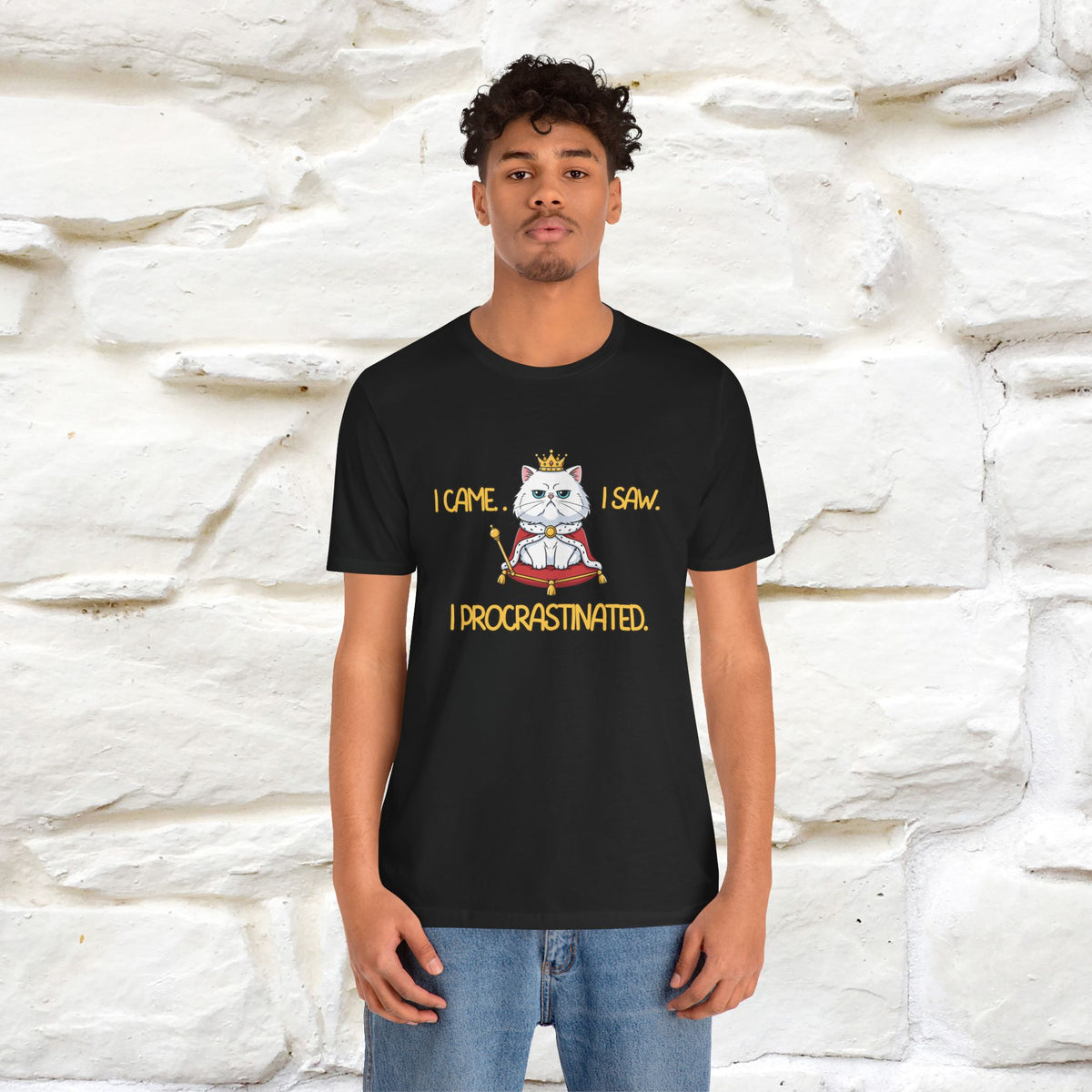 ''“I came. I saw. I procrastinated.''| Funny T-Shirt | Nunu&Miao Studio