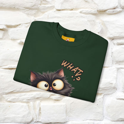 "What'' |Cat Sweatshirt | Nunu&Miao Studio