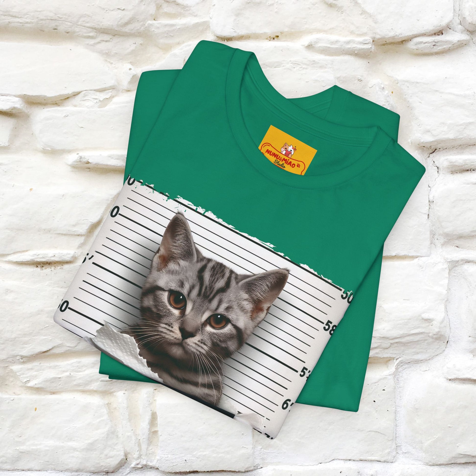 ''I Tore The Toilet Paper'' | Funny Cat T-Shirt | Nunu&Miao Studio - Nunu&Miao Studio