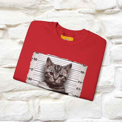 "I Tore The Toilet Paper.'' |Cat Sweatshirt | Nunu&Miao Studio