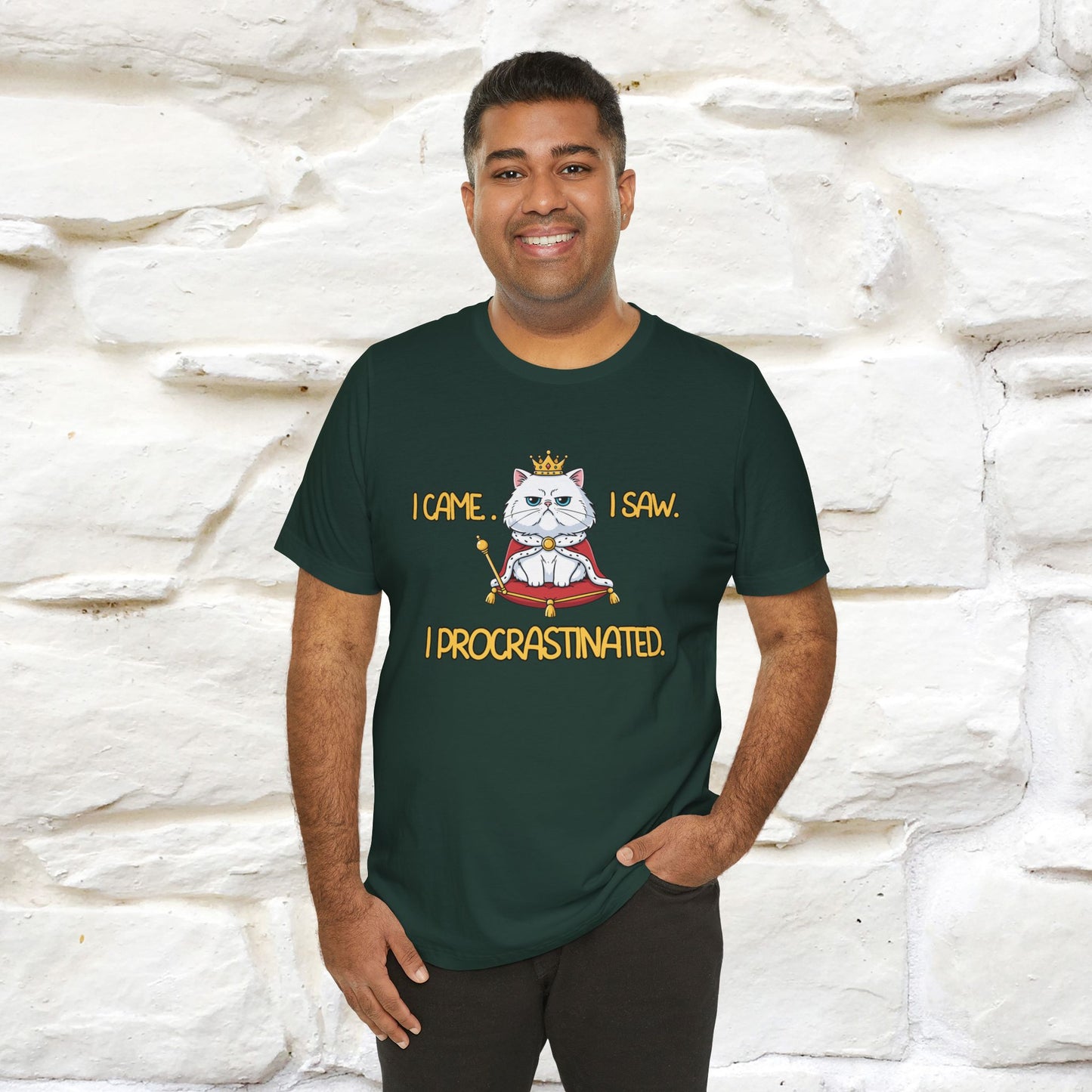 ''I came. I saw. I procrastinated.''| Funny T-Shirt | Nunu&Miao Studio