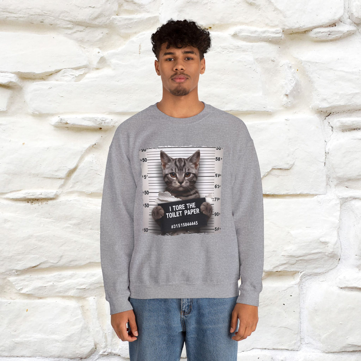 "I Tore The Toilet Paper.'' |Cat Sweatshirt | Nunu&Miao Studio