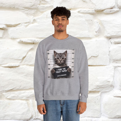"I Tore The Toilet Paper.'' |Cat Sweatshirt | Nunu&Miao Studio