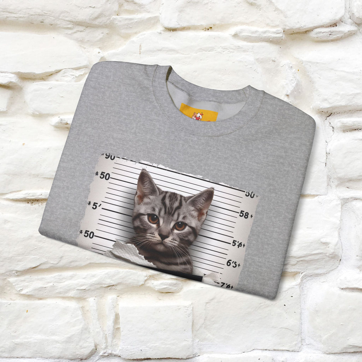 "I Tore The Toilet Paper.'' |Cat Sweatshirt | Nunu&Miao Studio