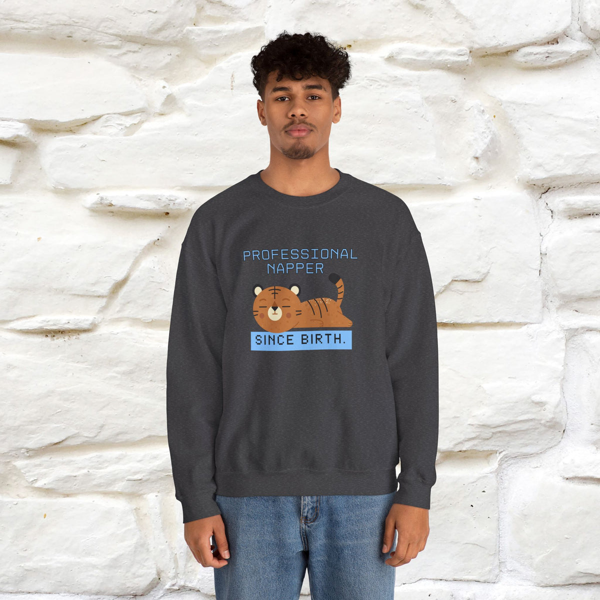 ''Professional Napper Since Birth'' |Cat Sweatshirt | Nunu&Miao Studio