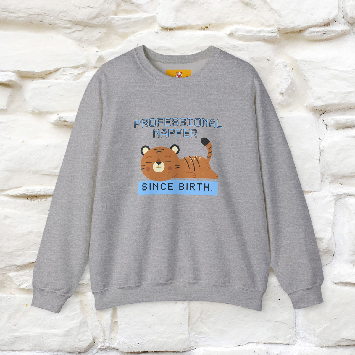 ''Professional Napper Since Birth'' |Cat Sweatshirt | Nunu&Miao Studio