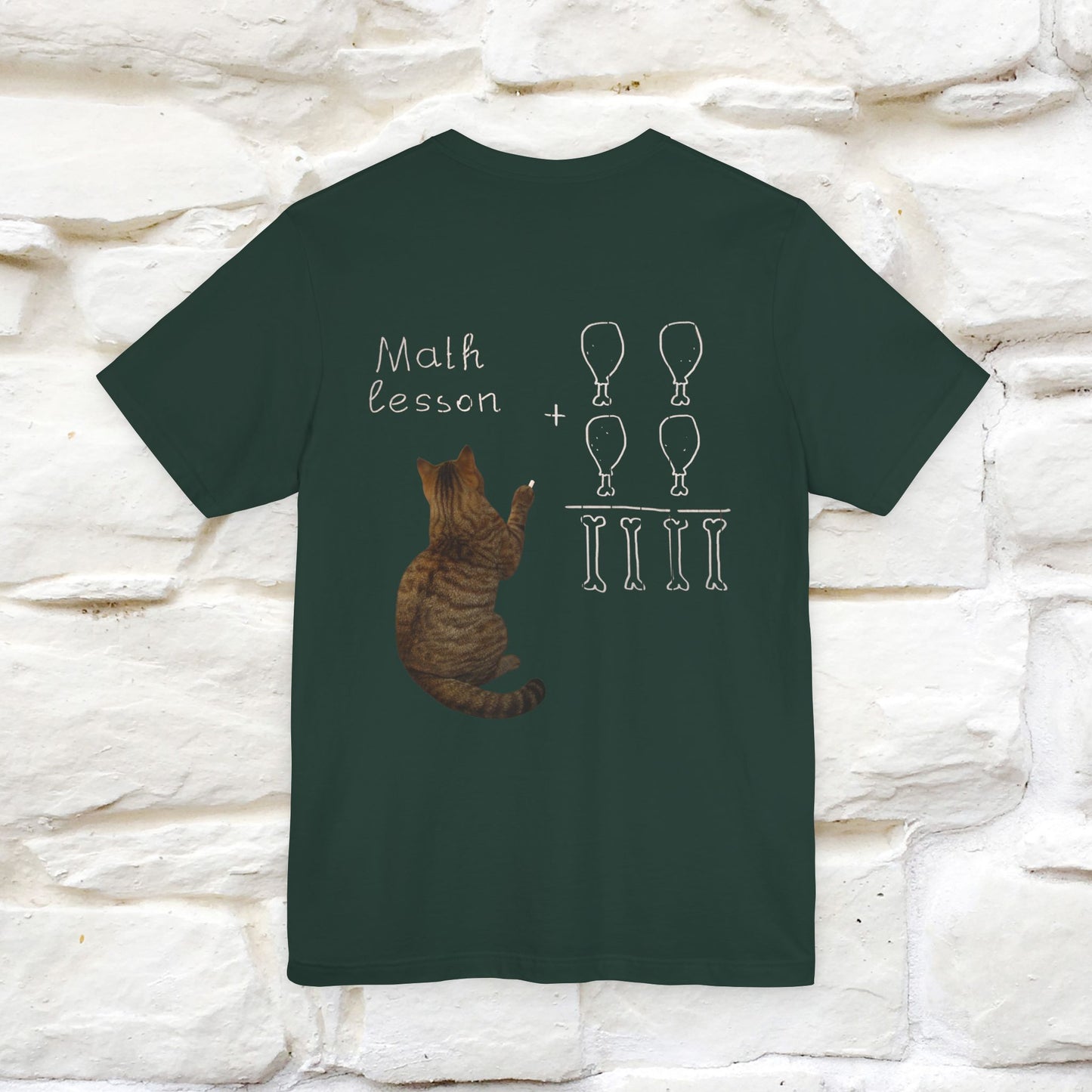 “Math teachers have too many functions.”|  Cat T-Shirt | Front & Back Design | Nunu&Miao Studio