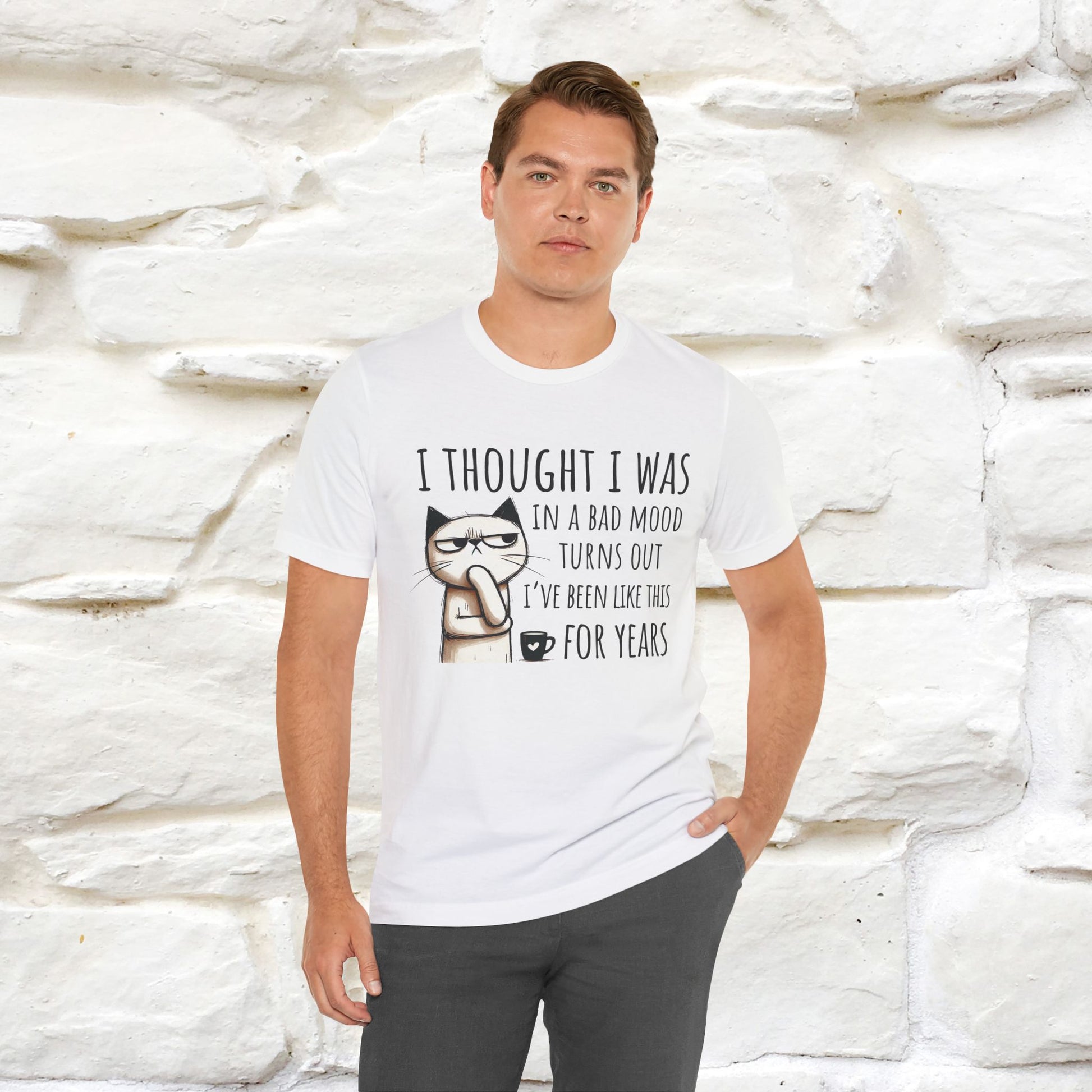 "I Thought I was In A Bad Mood.. " Cat  T-shirt |Nunu&Miao Studio - Nunu&Miao Studio