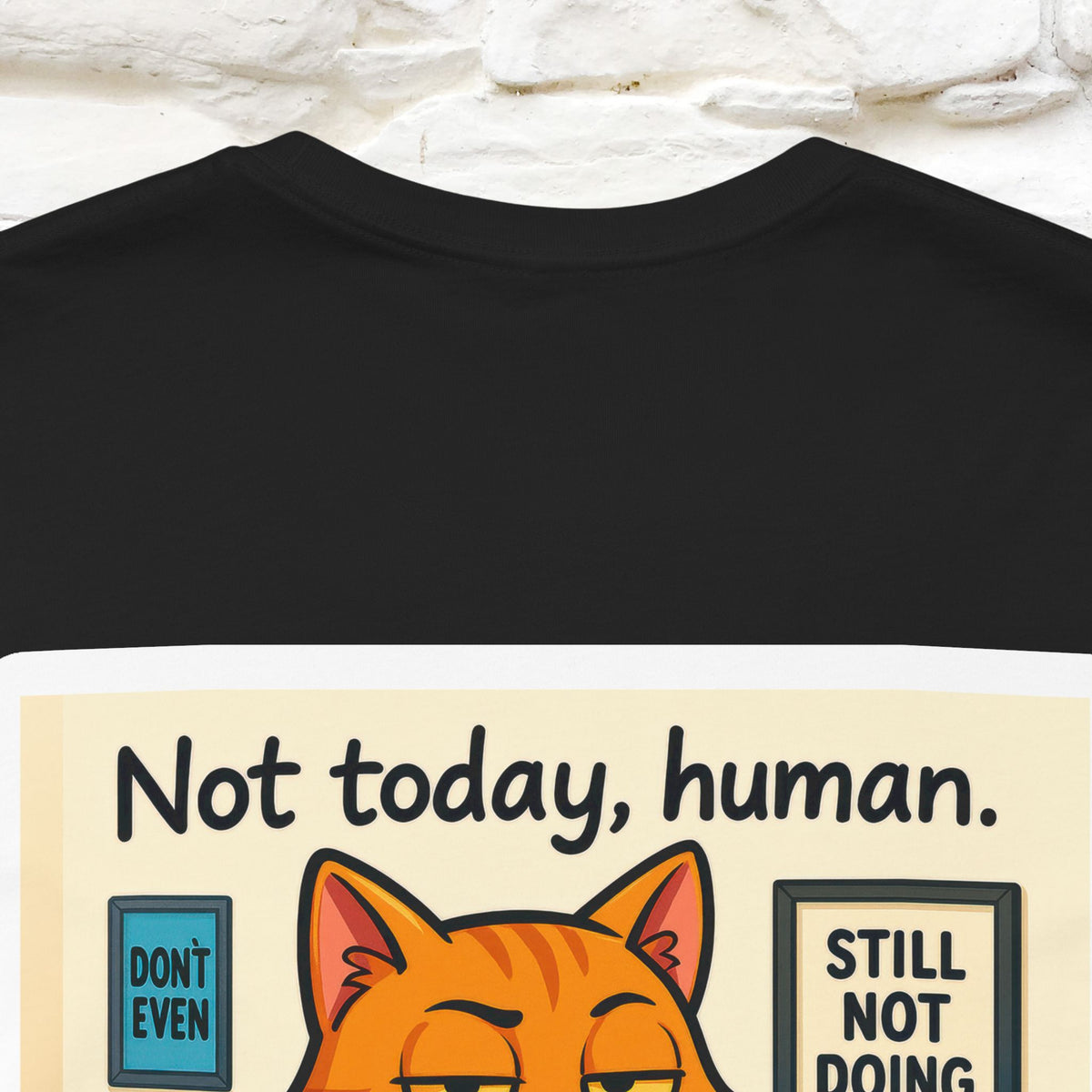 ''Not Today, Human''|  Sarcastic Cat T-Shirt | Front & Back Design | Nunu&Miao Studio