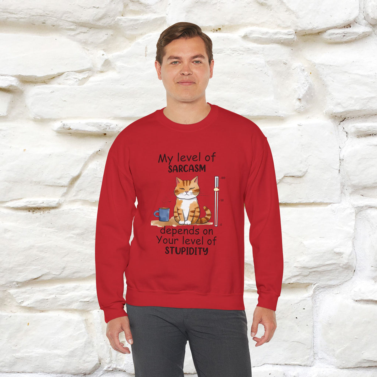 "My Level Of Sarcasm...'' |Cat Sweatshirt | Nunu&Miao Studio